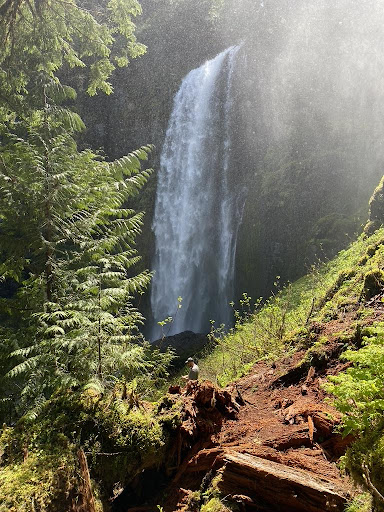 Waterfall in Columbia River Gorge Scenic Area