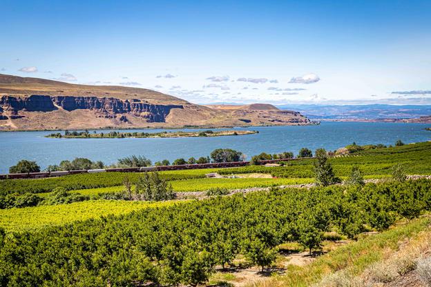 Washington-Side-Of-Columbia-River-Gorge