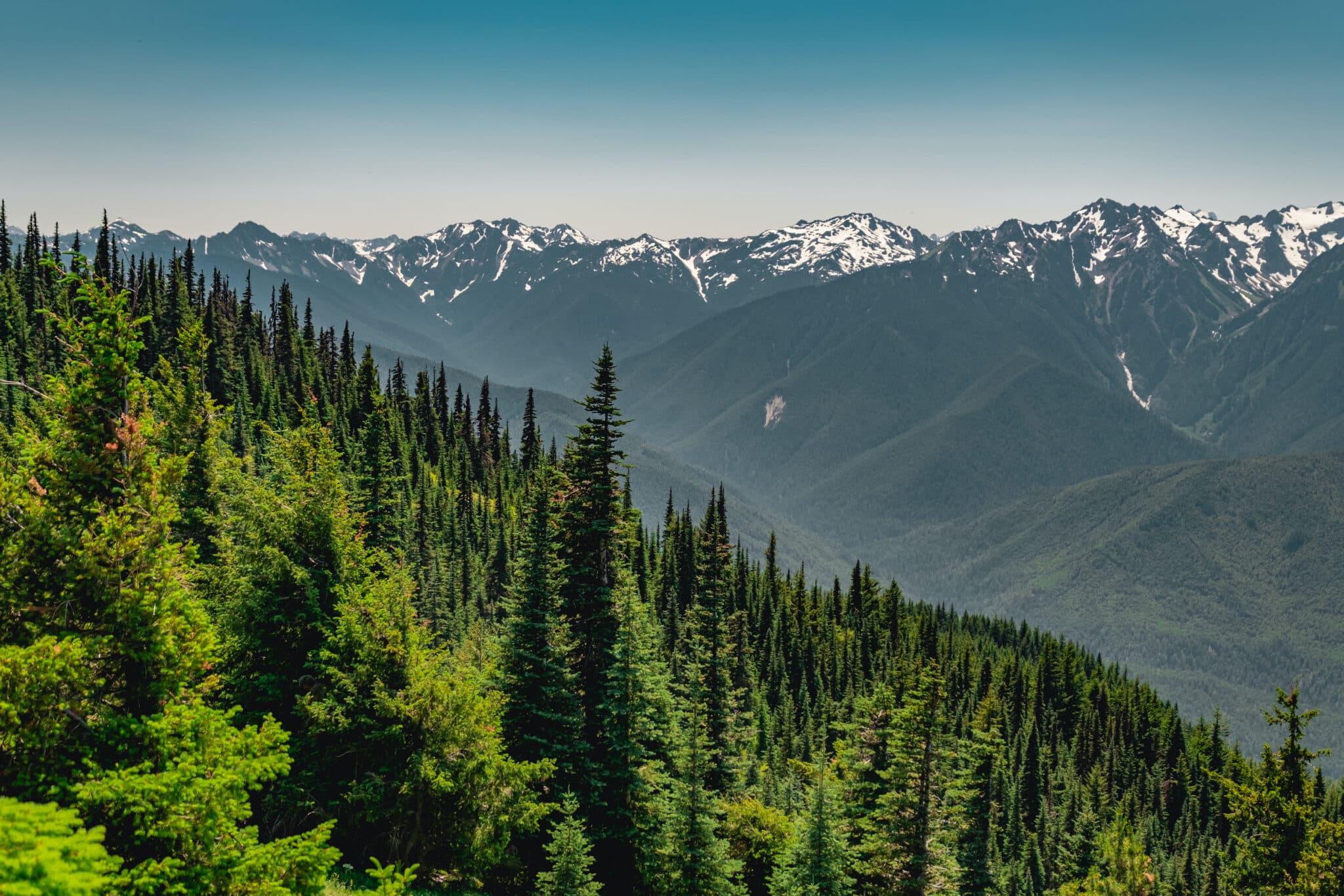 Day-hiking-view-Washington-State