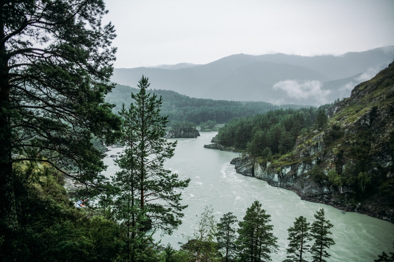 Foggy skies in forest overlooking winding river