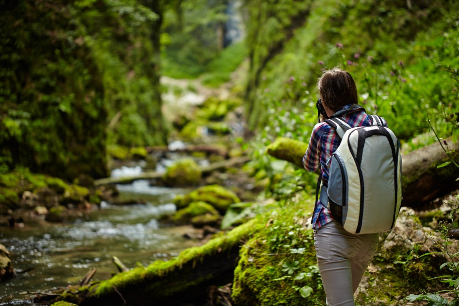 Brunette Woman Pictured from the back taking picture of bright green forest and river