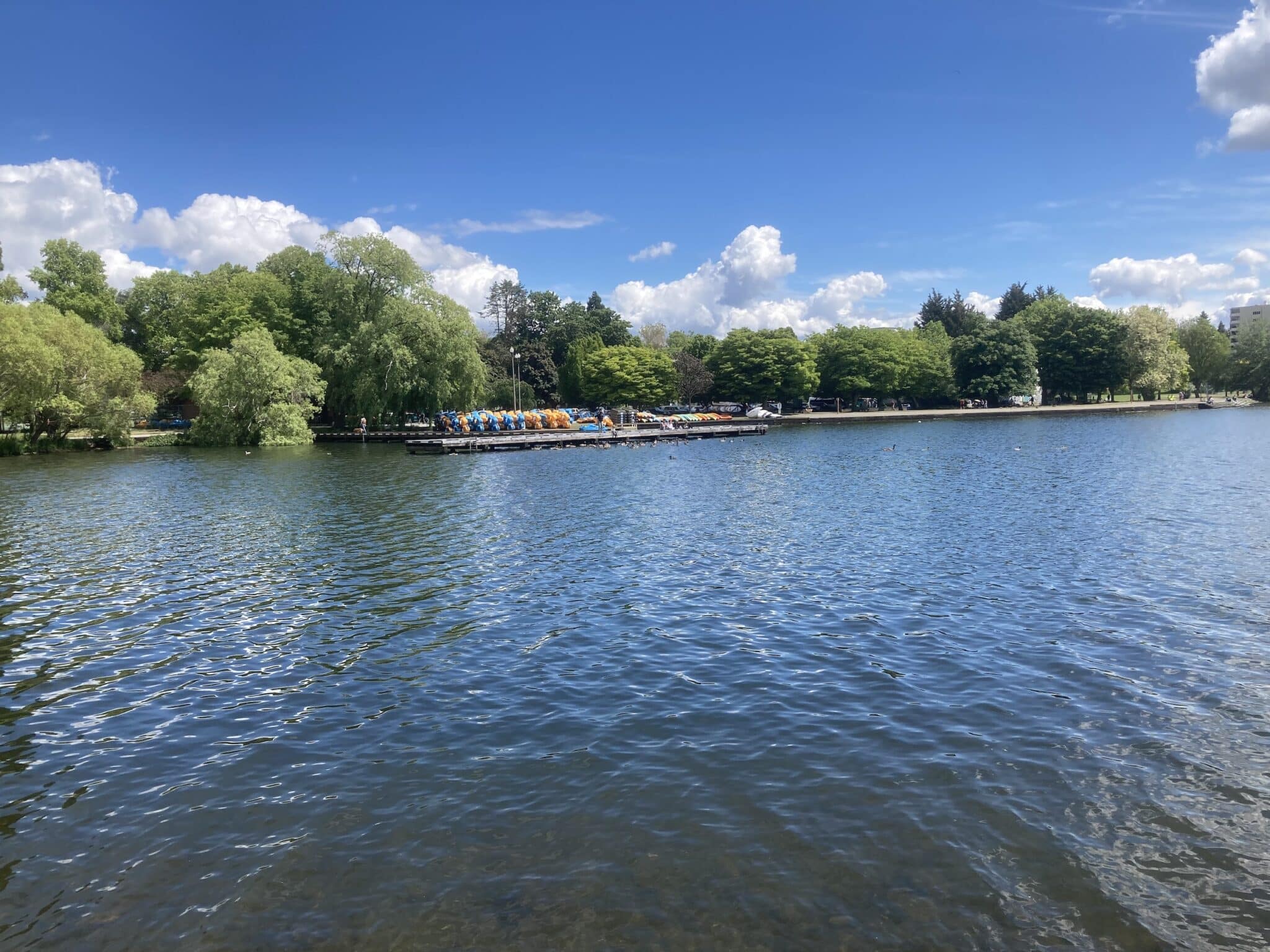 Greenlake Beach 3, Seattle (GLGH)