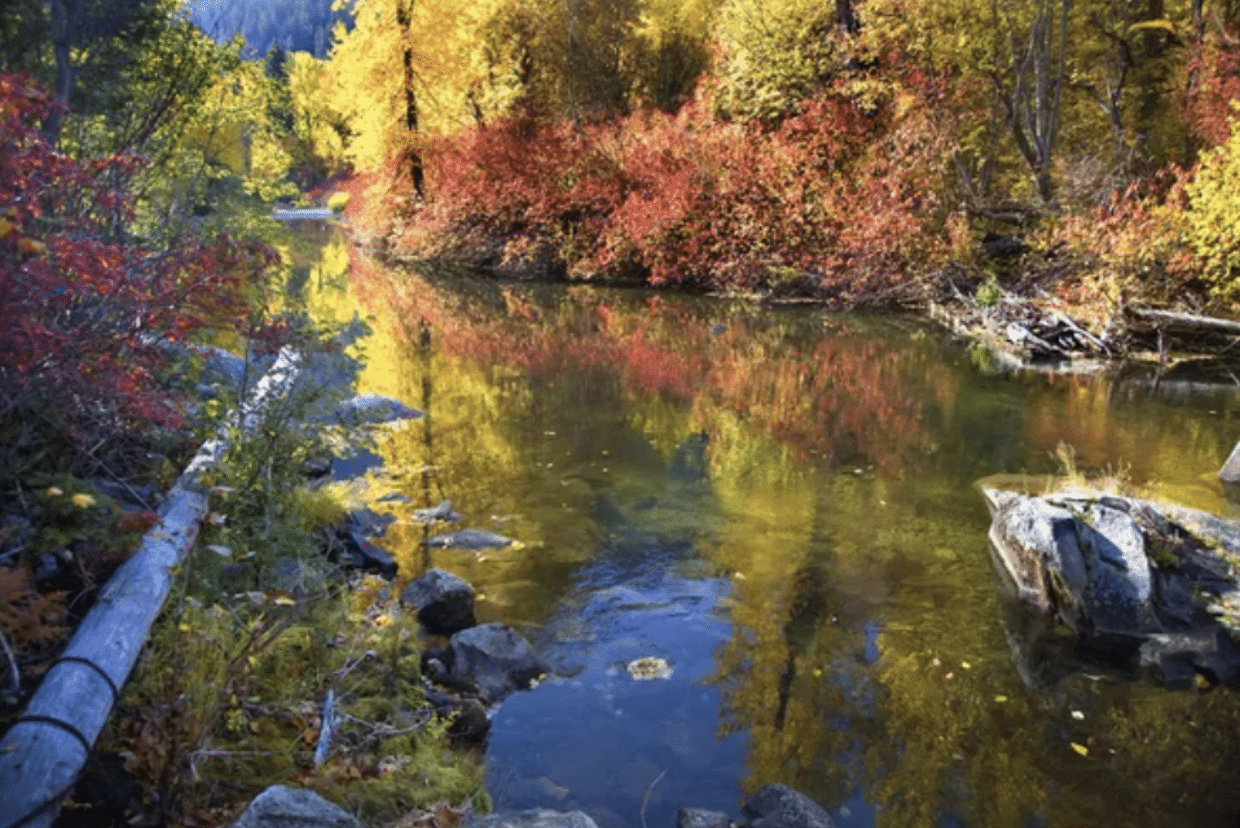 Whitewater Rafting in Wenatchee River