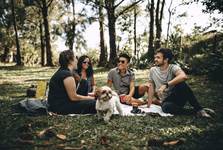 Washington's best picnic areas for couples