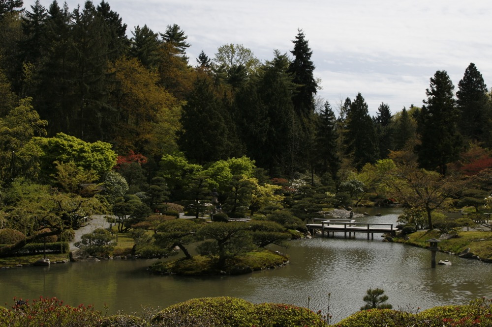 Seattle Japanese Garden 3 (GLGH) (1)