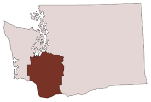 Outline of the state of Washington in light pink with shaded area representing the Volcano area in dark red