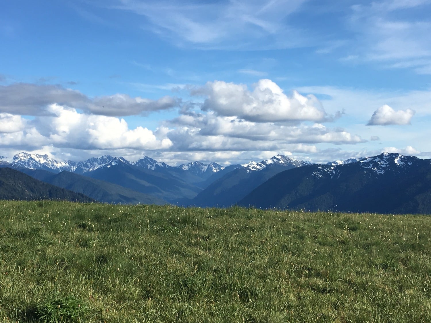 WIIN Hurricane Ridge-mountains (horizontal) (1)