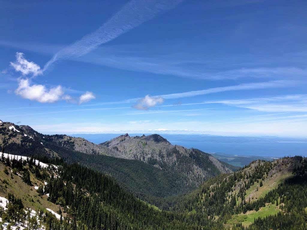 The Best Hikes from Hurricane Ridge