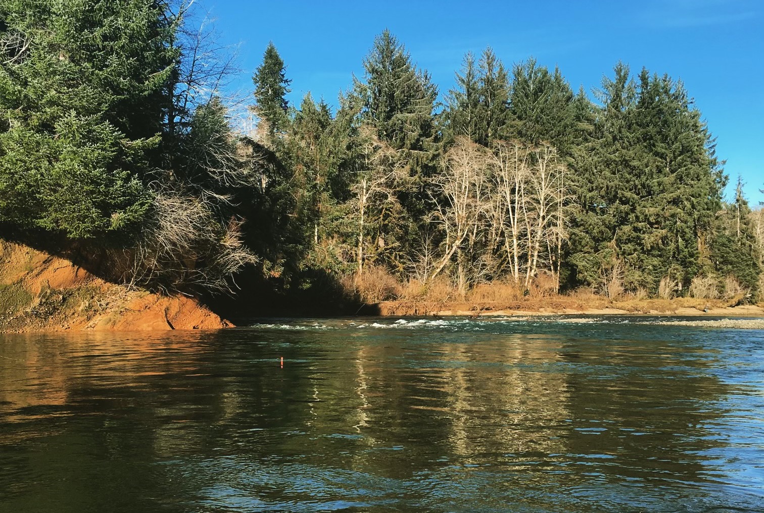 WIIN Olympic Peninsula River (GLGH)