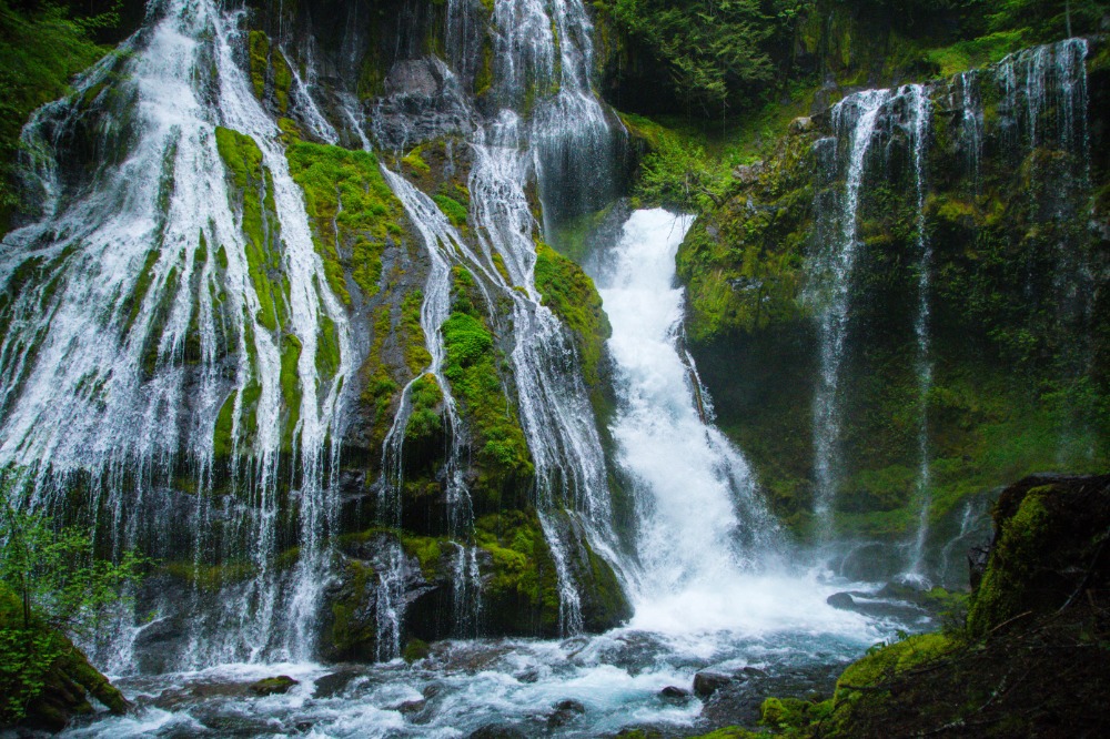 spidery waterfall Panther Creek Falls mossy