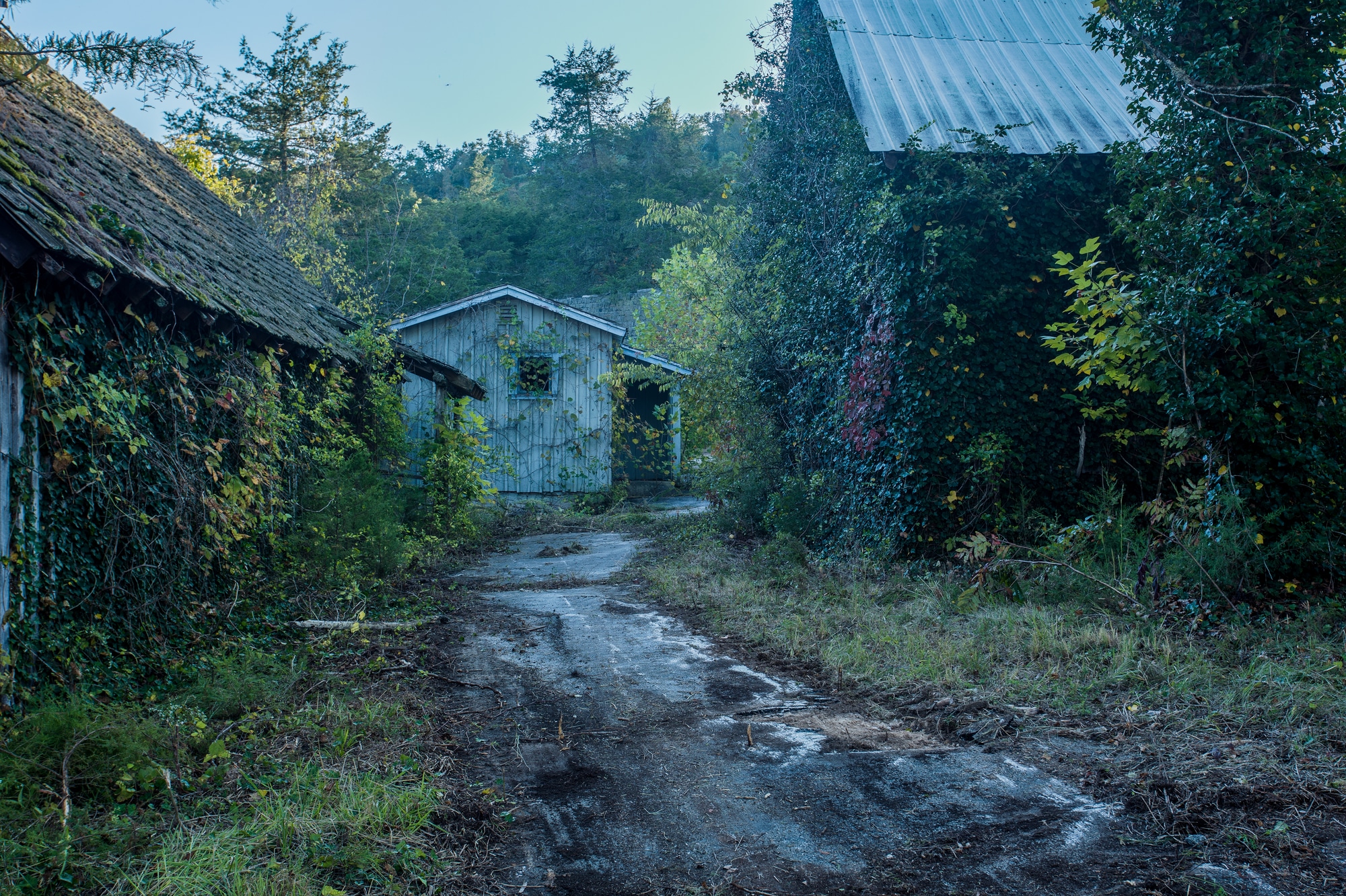 The remains of an old ghost town in the midwest.