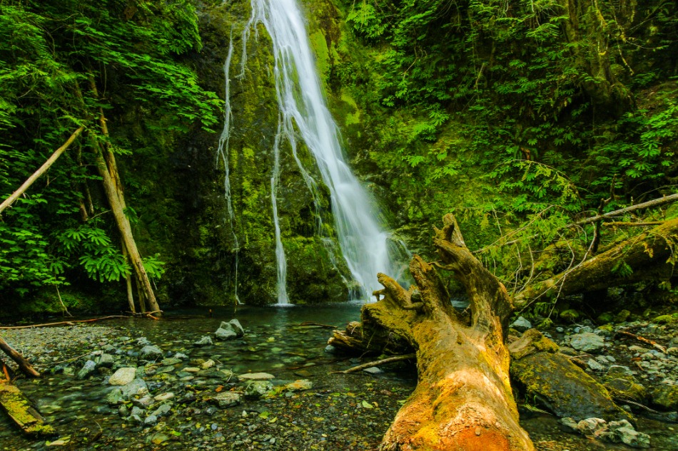 waterfall Madison Falls greenery in background, fallen tree in foreground