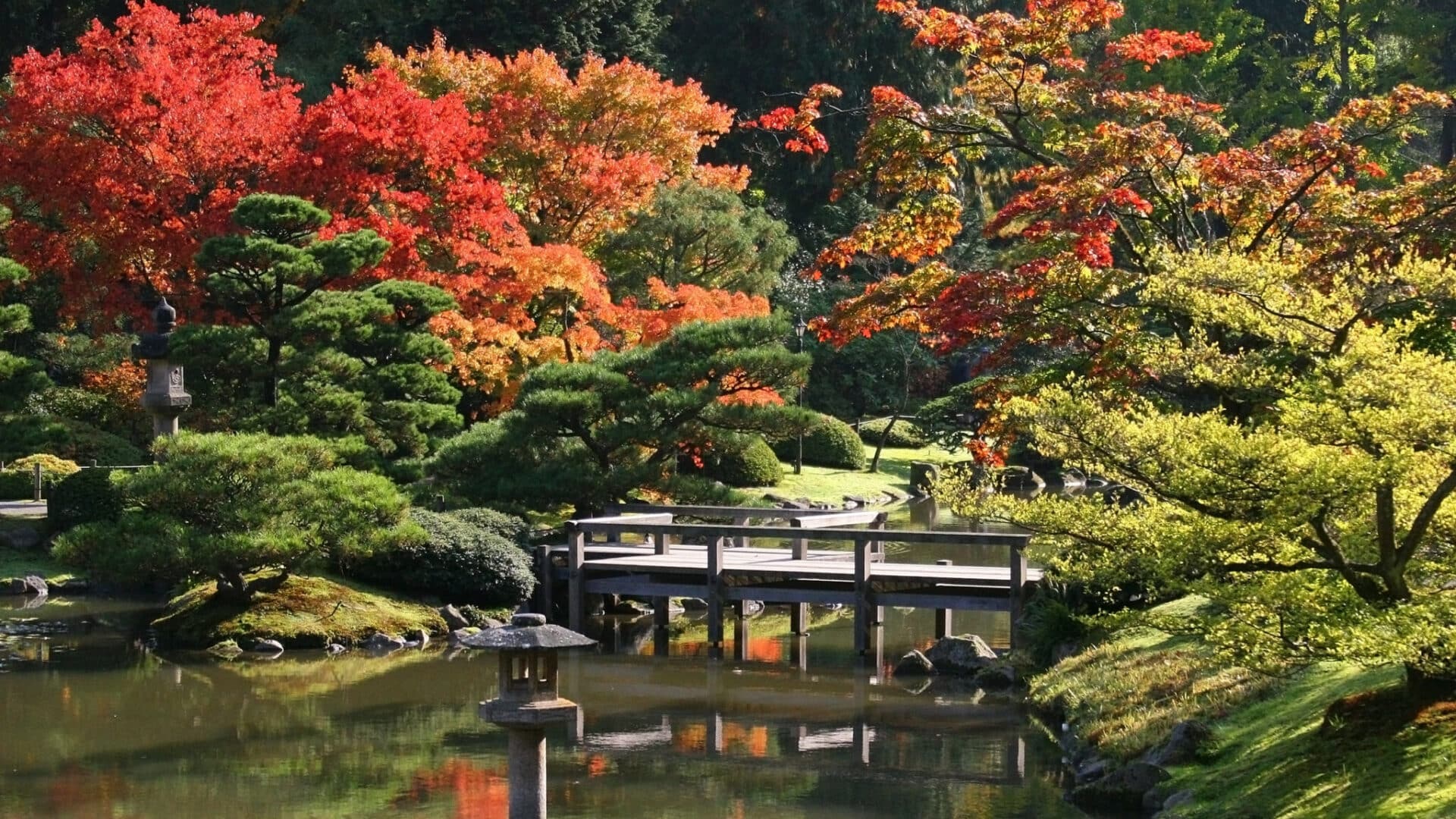 Arboretum,Seattle Japanese Garden at Washington Park