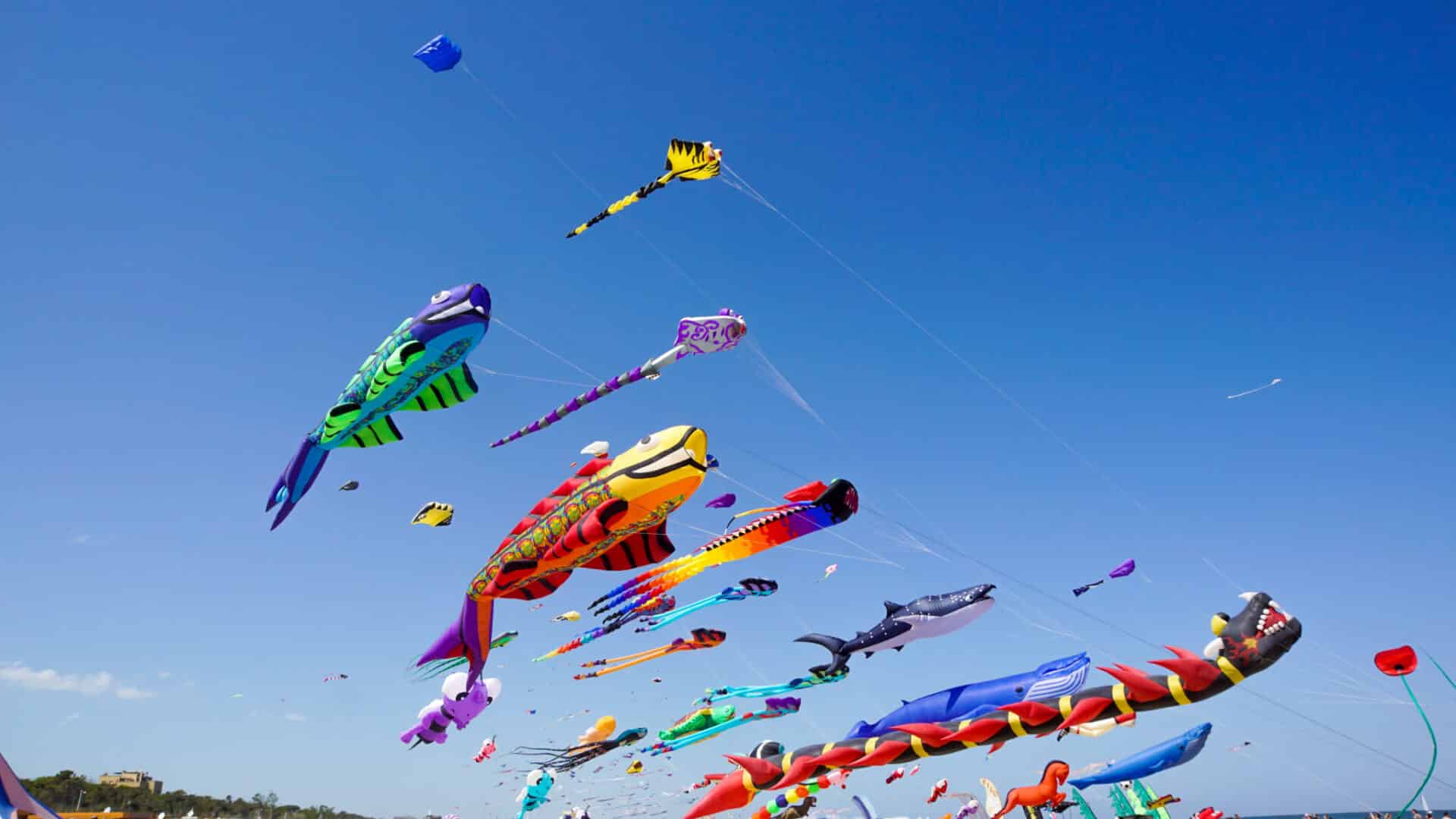 Kite Festival in Washington State