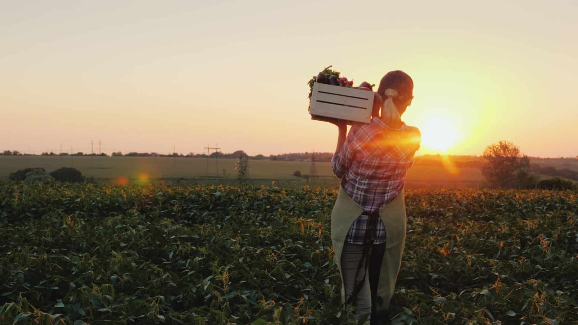 Seattle-area-farmers