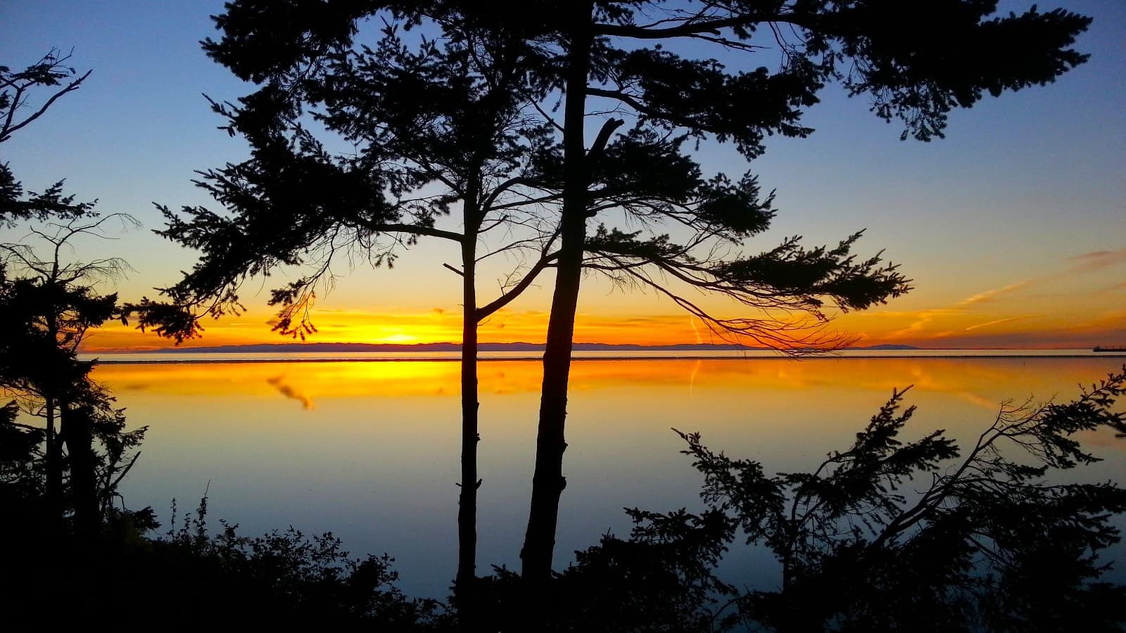 Silhouette of trees with calm water, mountain range, and sunset in the background