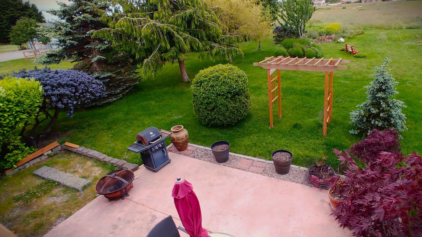 Backyard with green grass, concrete patio, wooden pergola, bushes, and trees