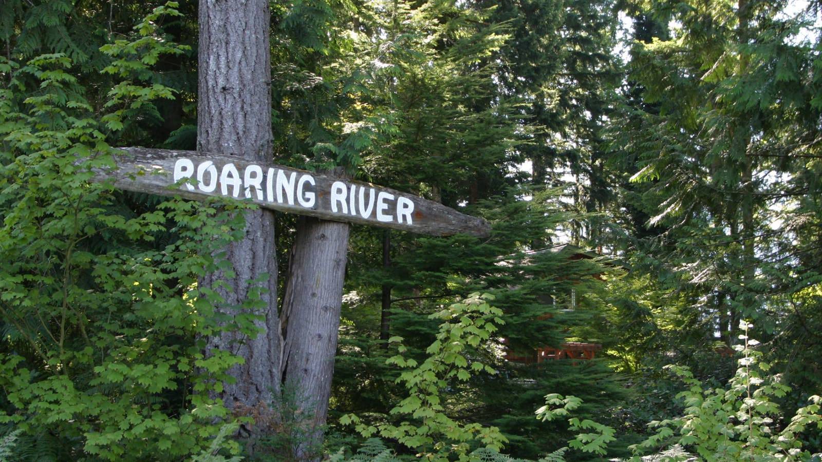 Wooden sign on tree with white text showing Roaring River surrounded by large green trees with the property barely peeking through in the background