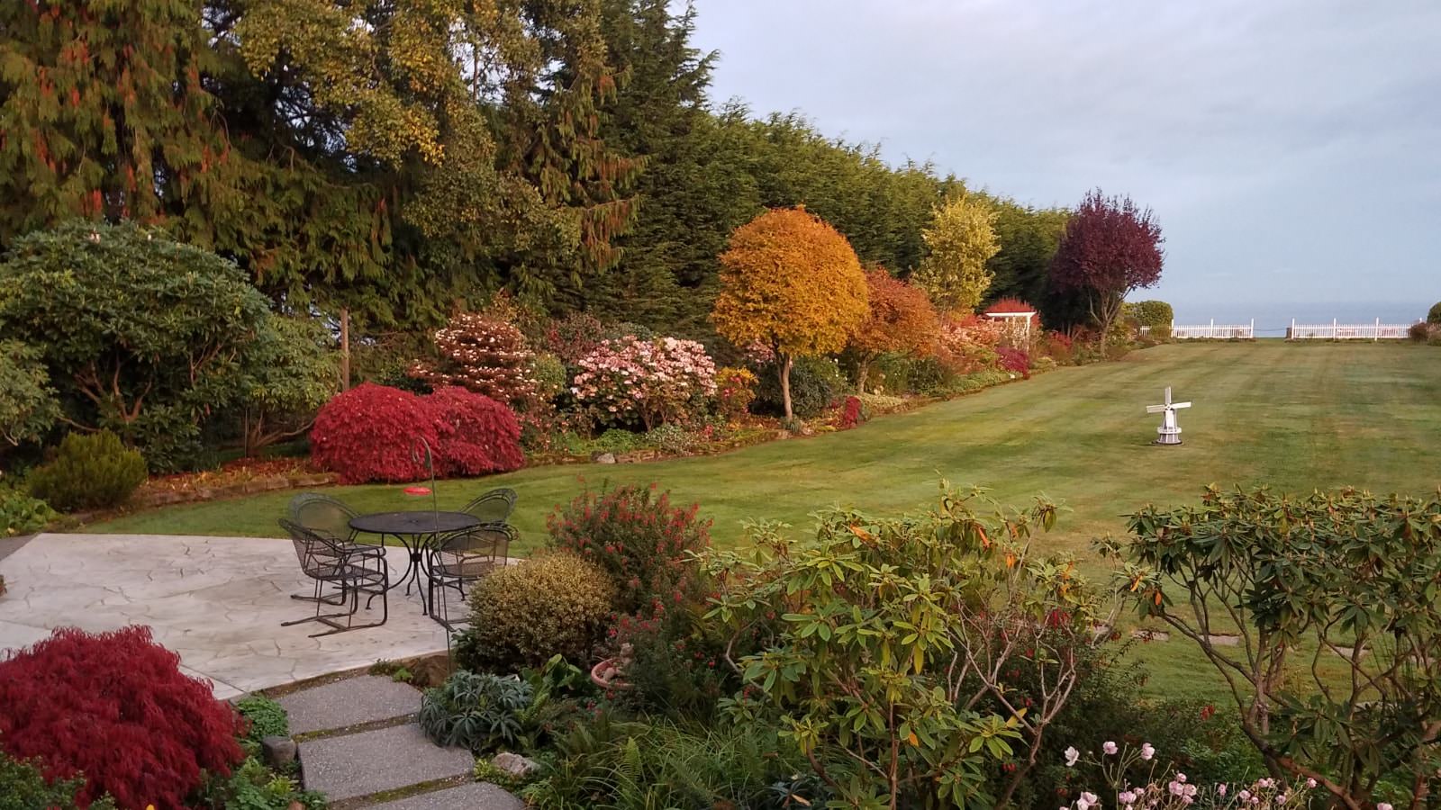 Backyard with large green lawn, concrete stamped patio, and many large green trees, bushes, and flowers