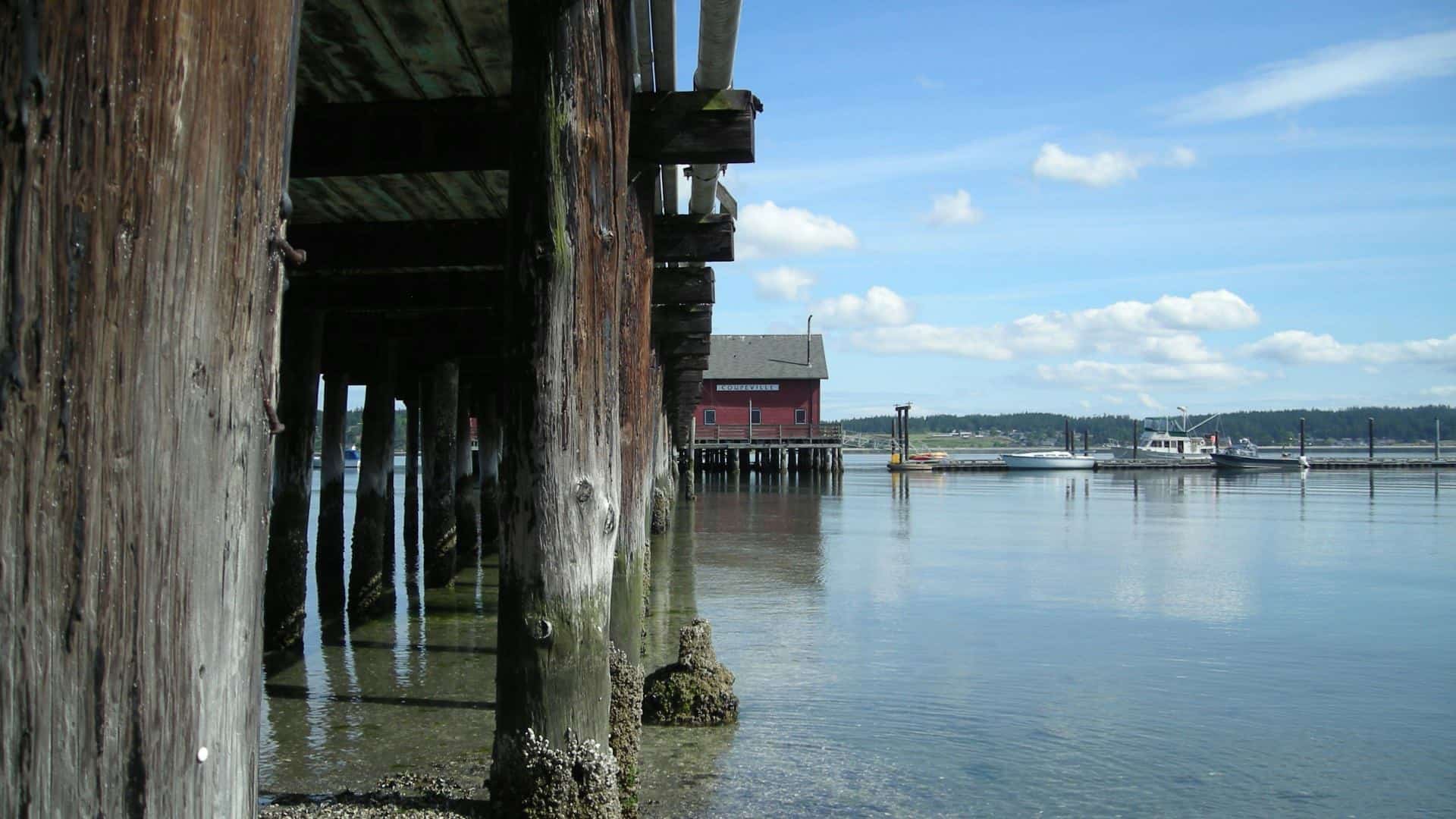 Close up view of the underneath of a pier surrounded by calm water with a few boats in the background