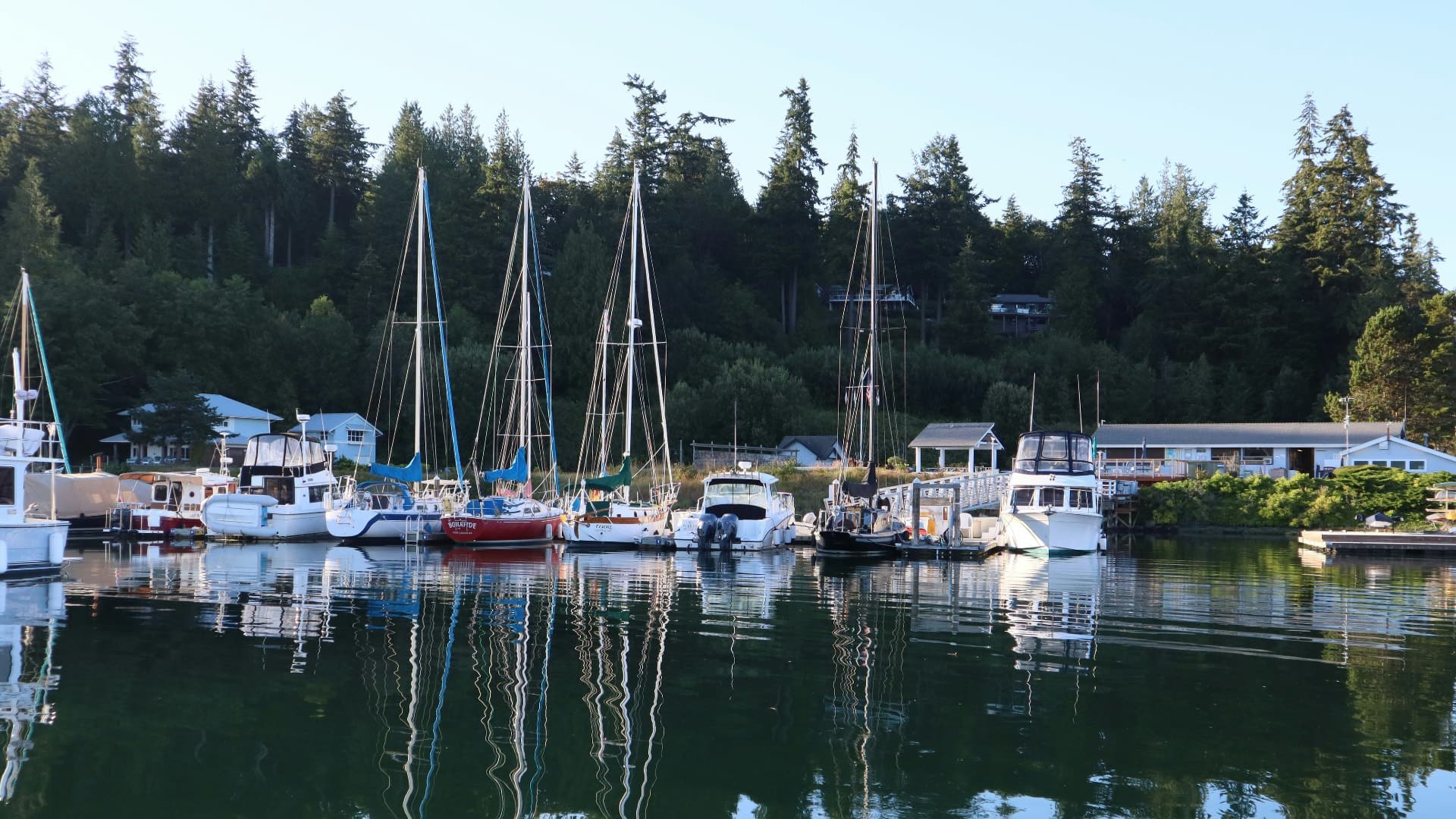 Multiple sailboats docked at a marina on calm water