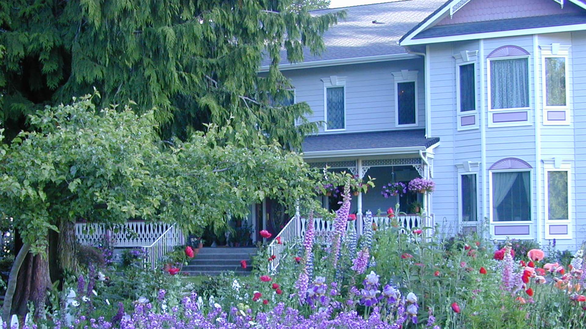 Exterior view of two-story property painted light lavender with white trim and surrounded by large green trees and colorful flower gardens