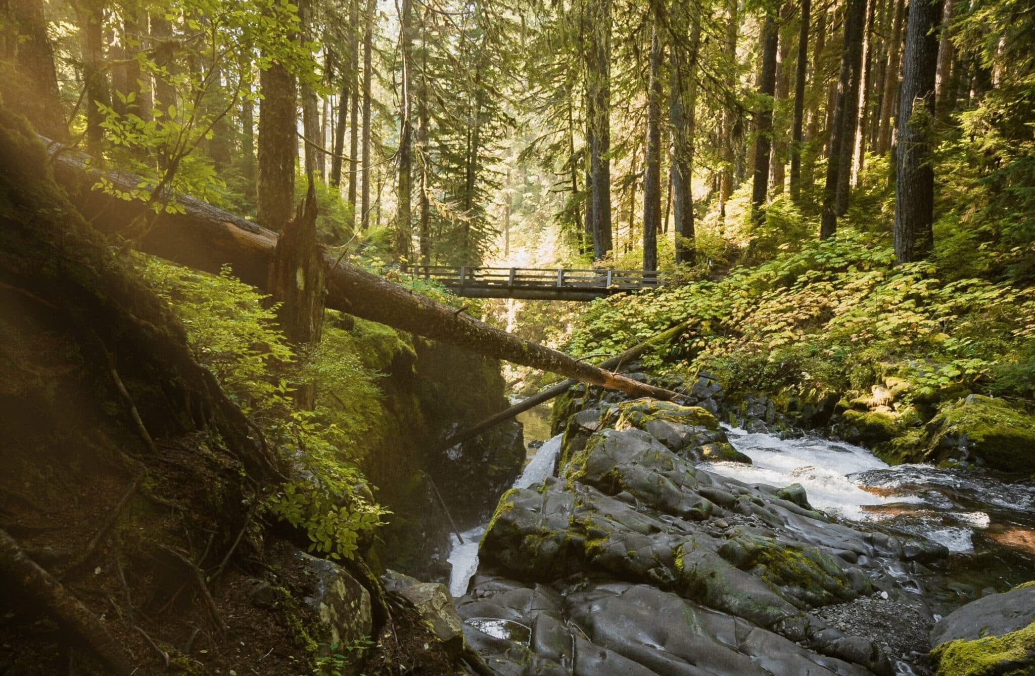 sol duc river